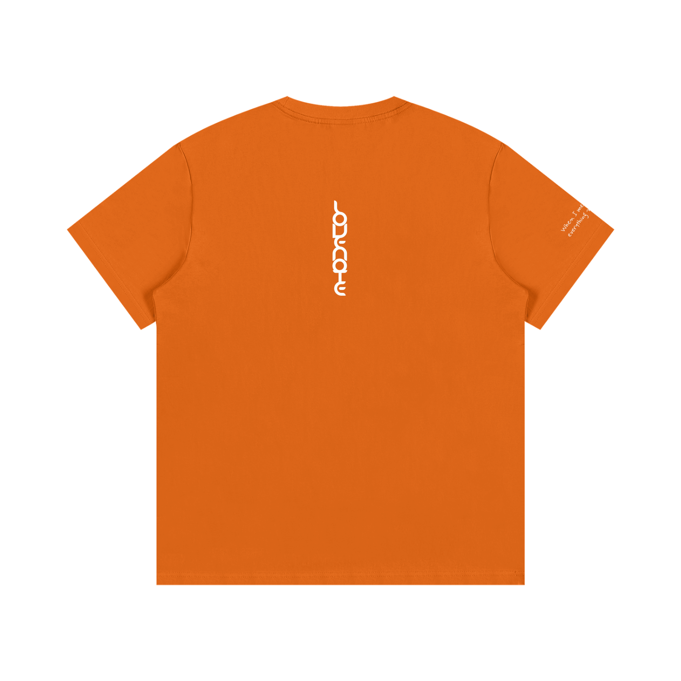 Smaller Notes - When I met you, everything made sense - Cotton T-Shirt