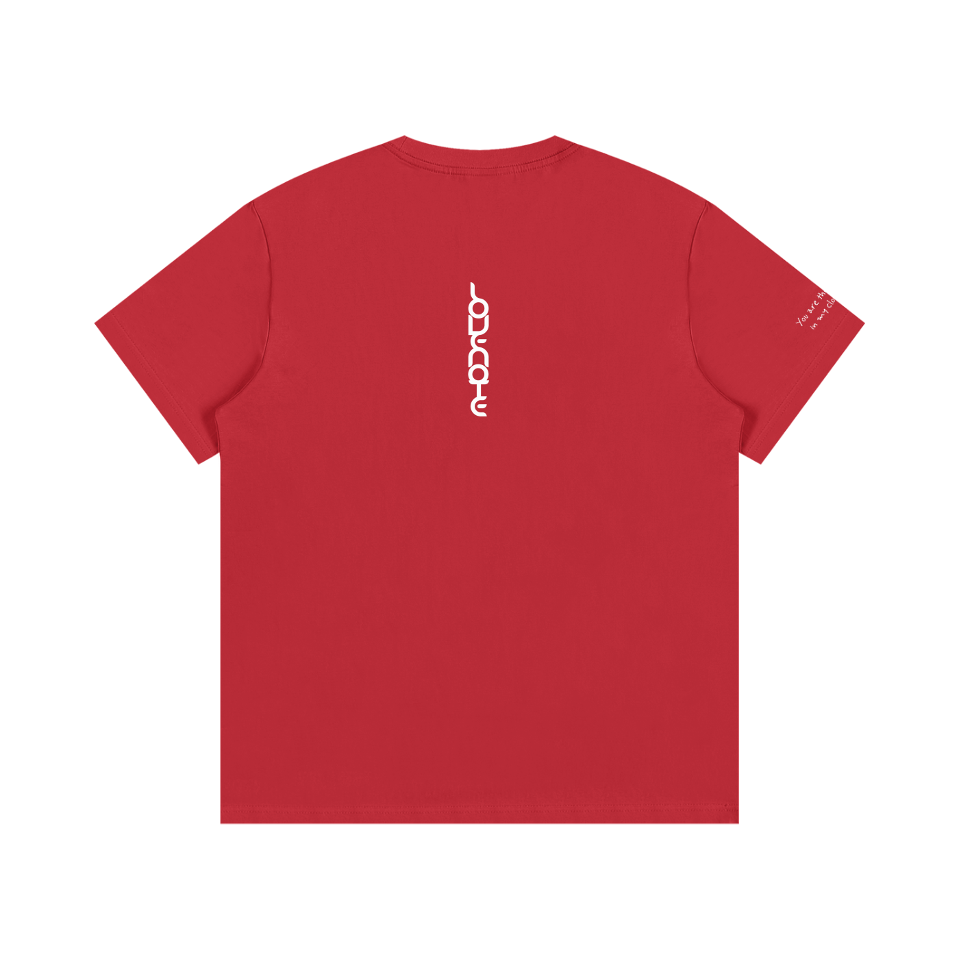 Smaller Notes - You are the sunshine in my cloudy days - Cotton T-Shirt