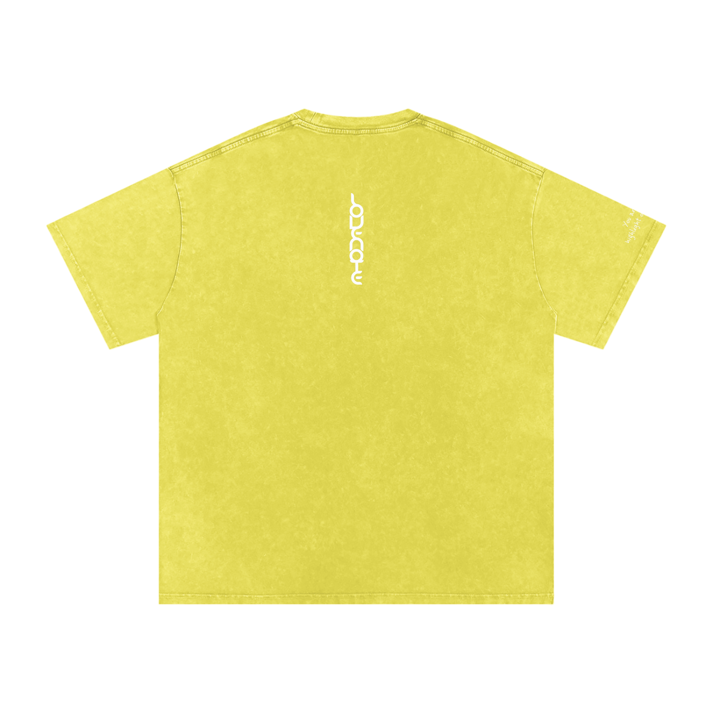 Smaller Notes - You are the highlight of my life - Snow Washed Oversized Cotton T-Shirt