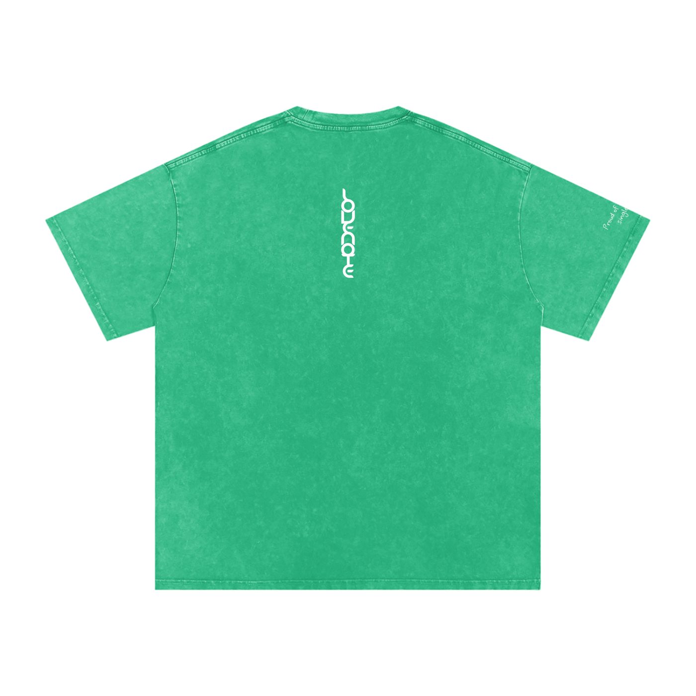Smaller Notes - Proud of you every single day - Snow Washed Oversized Cotton T-Shirt