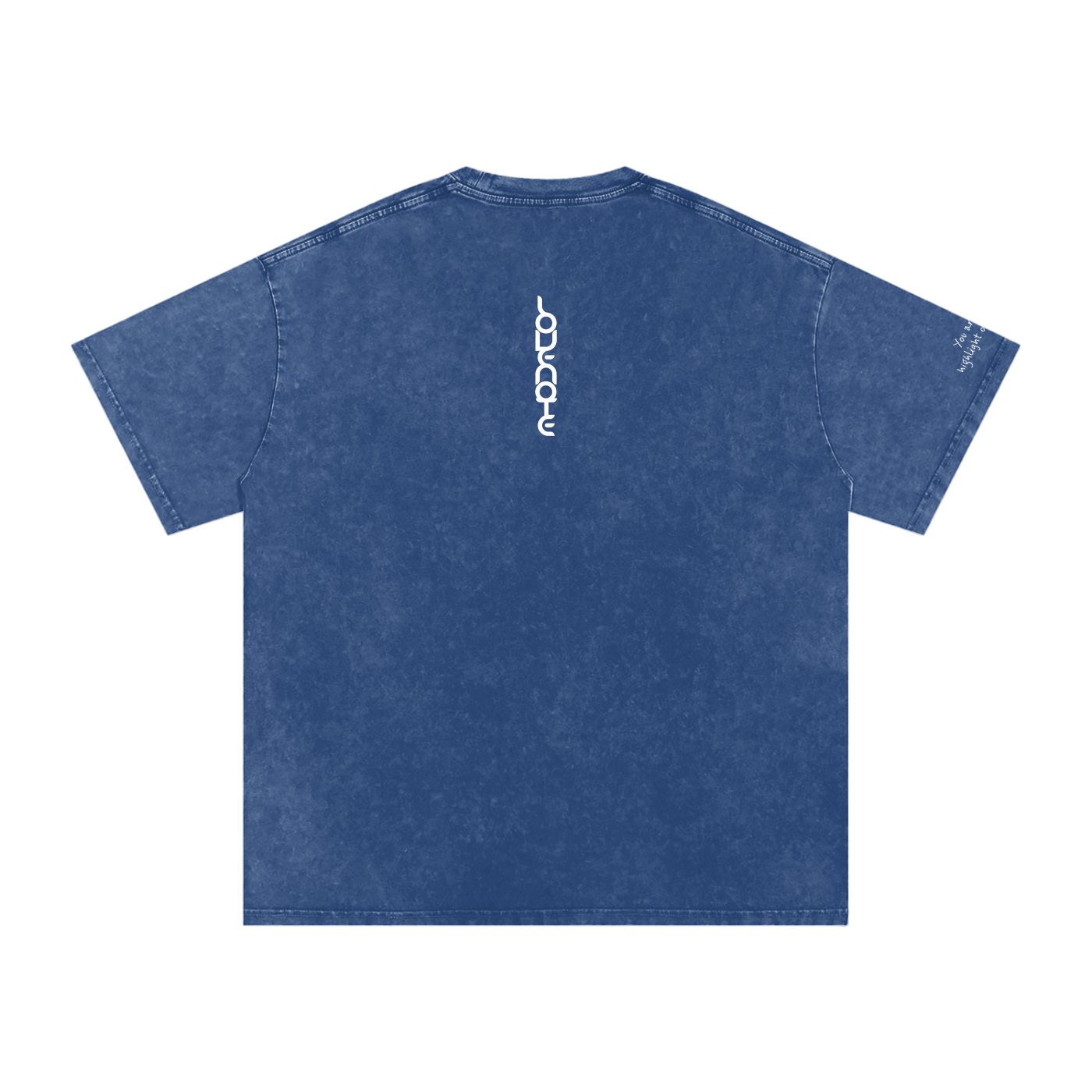 Smaller Notes - You are the highlight of my life - Snow Washed Oversized Cotton T-Shirt