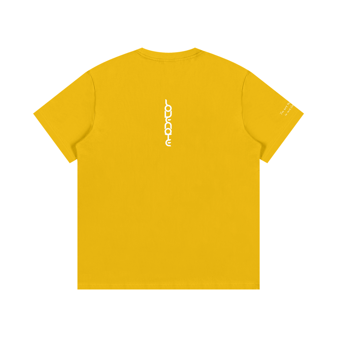 Smaller Notes - You are the sunshine in my cloudy days - Cotton T-Shirt