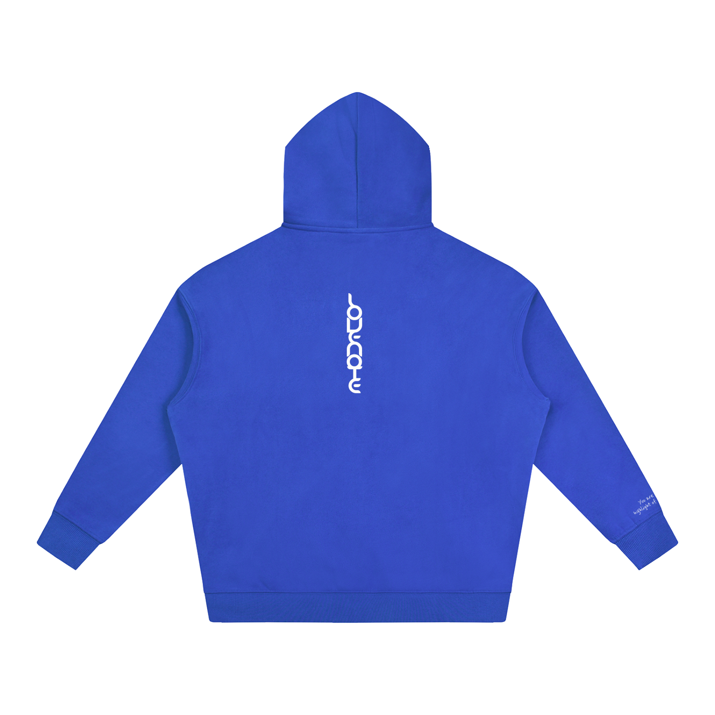 Smaller Notes - You are the highlight of my life  -  Oversize Fleeced Hoodie HT