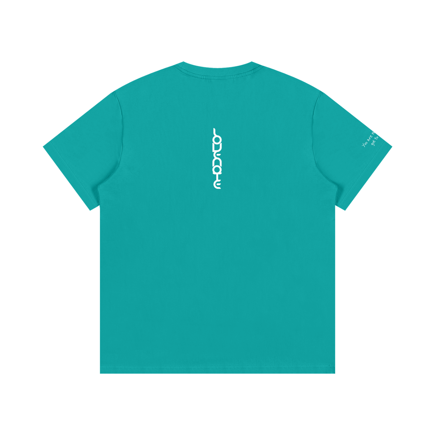Smaller Notes - You are the sister I got to choose - Cotton T-Shirt