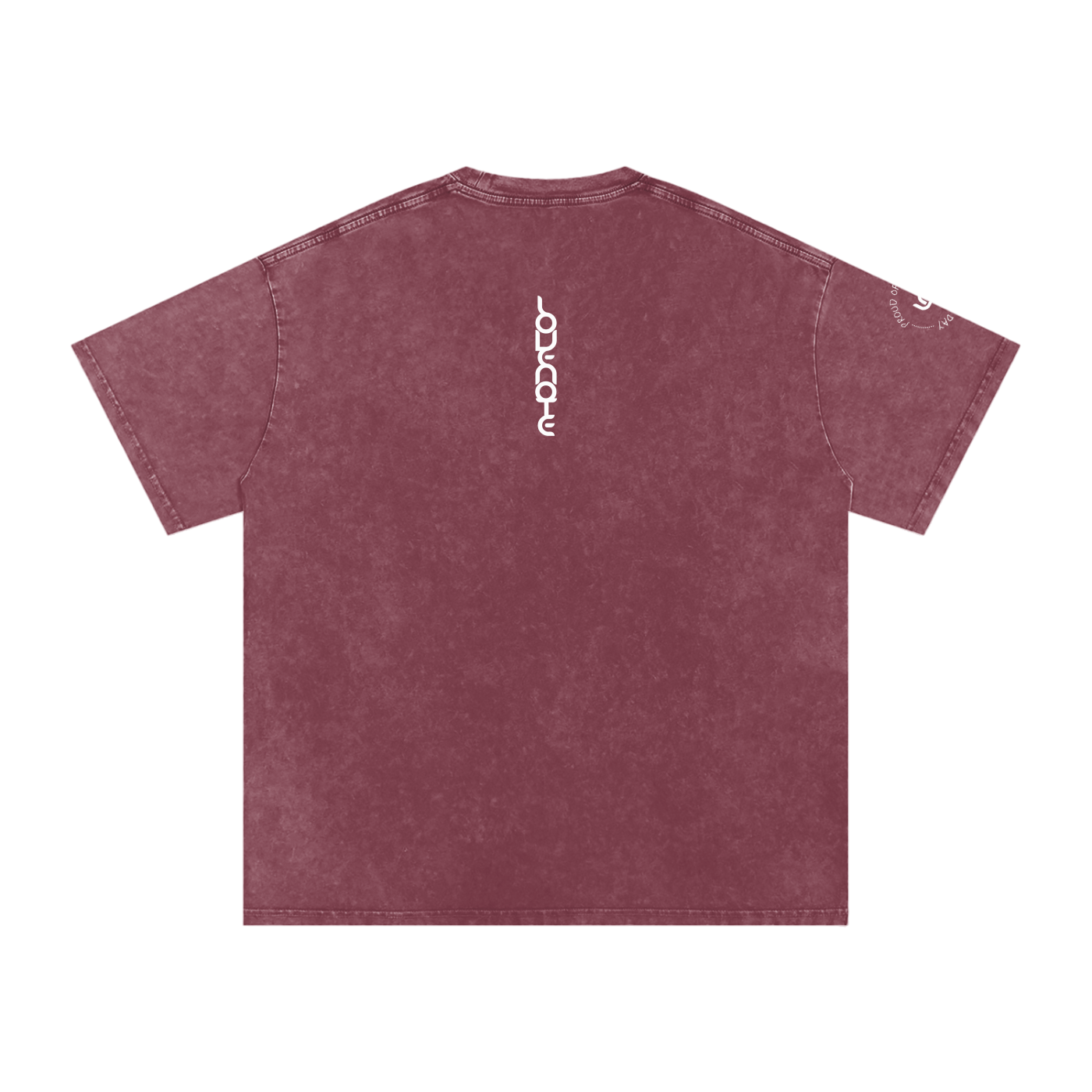 Proud of you every single day - Snow Washed Oversized Cotton T-Shirt