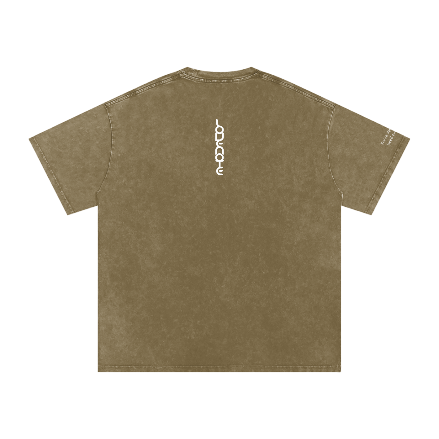 Smaller Notes - You're special and loved every day - Snow Washed Oversized Cotton T-Shirt