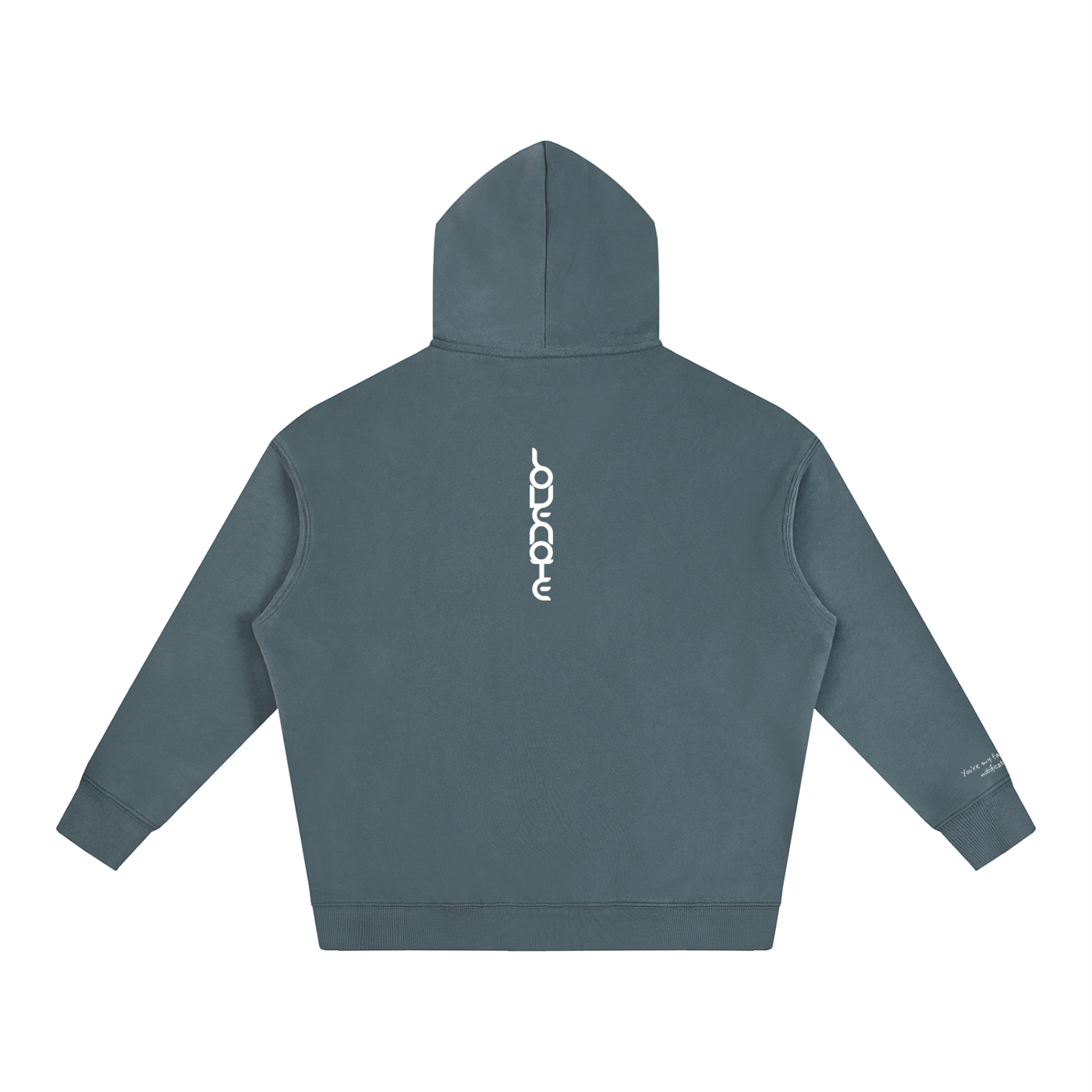 Smaller Notes - You're my favourite notification -  Oversize Fleeced Hoodie HT