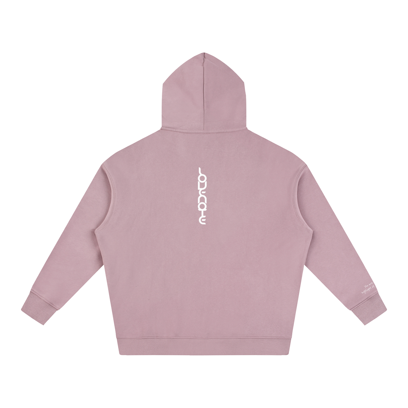 Smaller Notes - You are the highlight of my life  -  Oversize Fleeced Hoodie HT