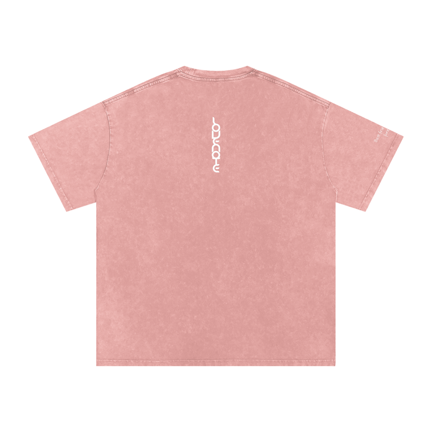 Smaller Notes - Best friend vibes forever - Snow Washed Oversized Cotton T-Shirt