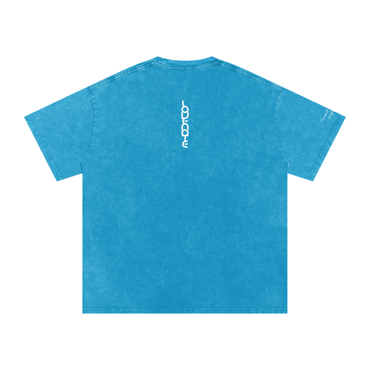 Smaller Notes - Proud of you every single day - Snow Washed Oversized Cotton T-Shirt