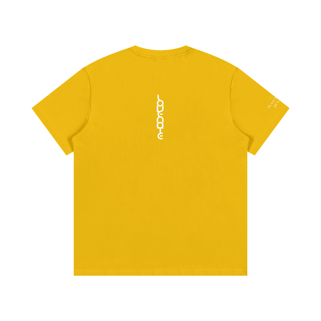 Smaller Notes - You are the sister I got to choose - Cotton T-Shirt