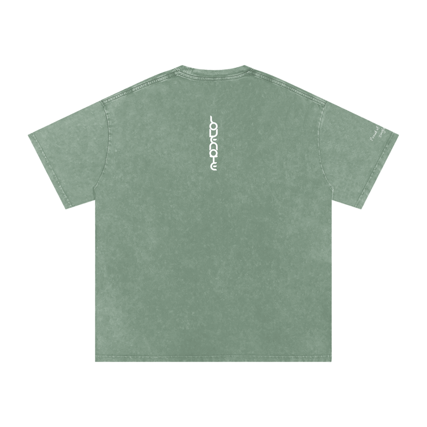 Smaller Notes - Proud of you every single day - Snow Washed Oversized Cotton T-Shirt
