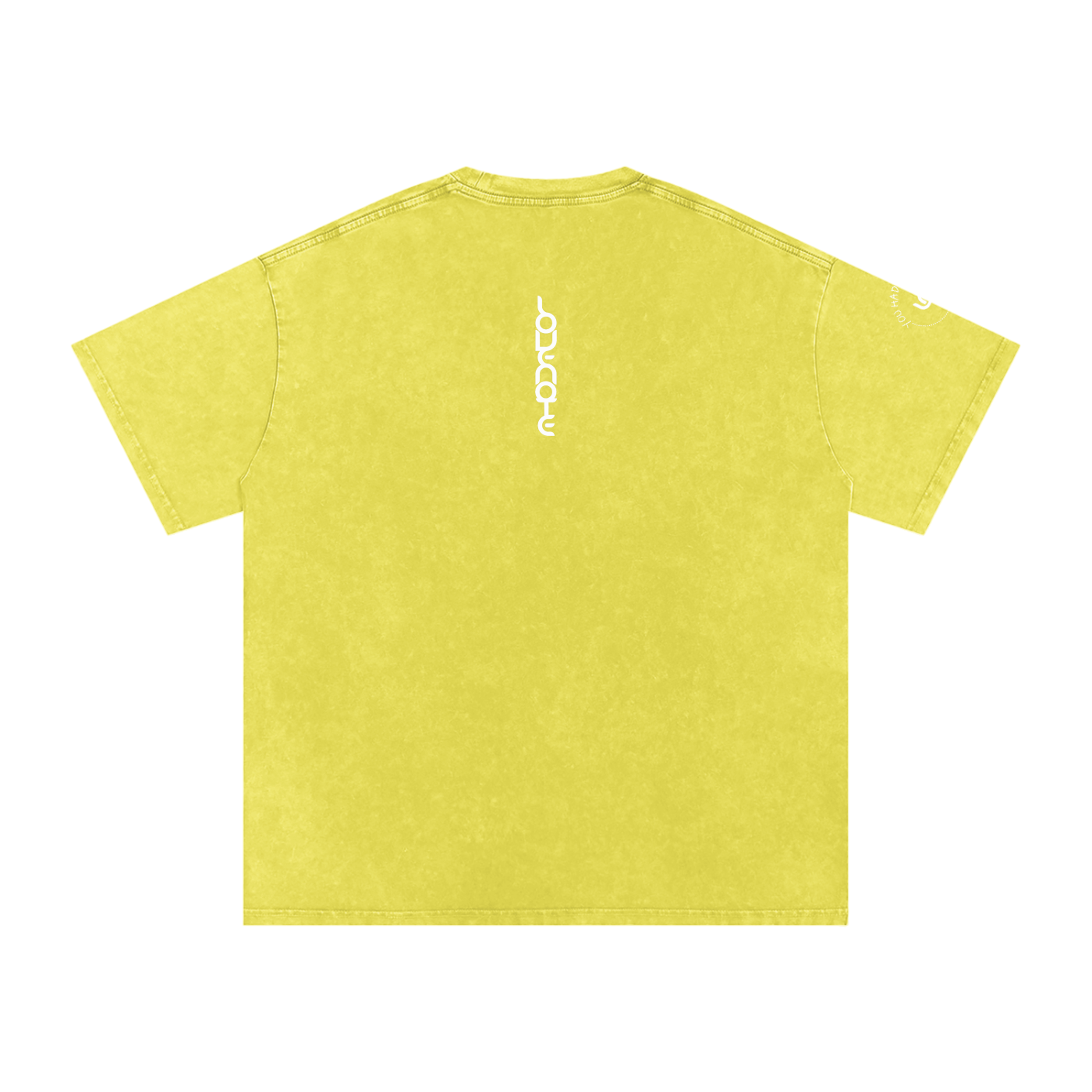 You had me at hello - Snow Washed Oversized Cotton T-Shirt