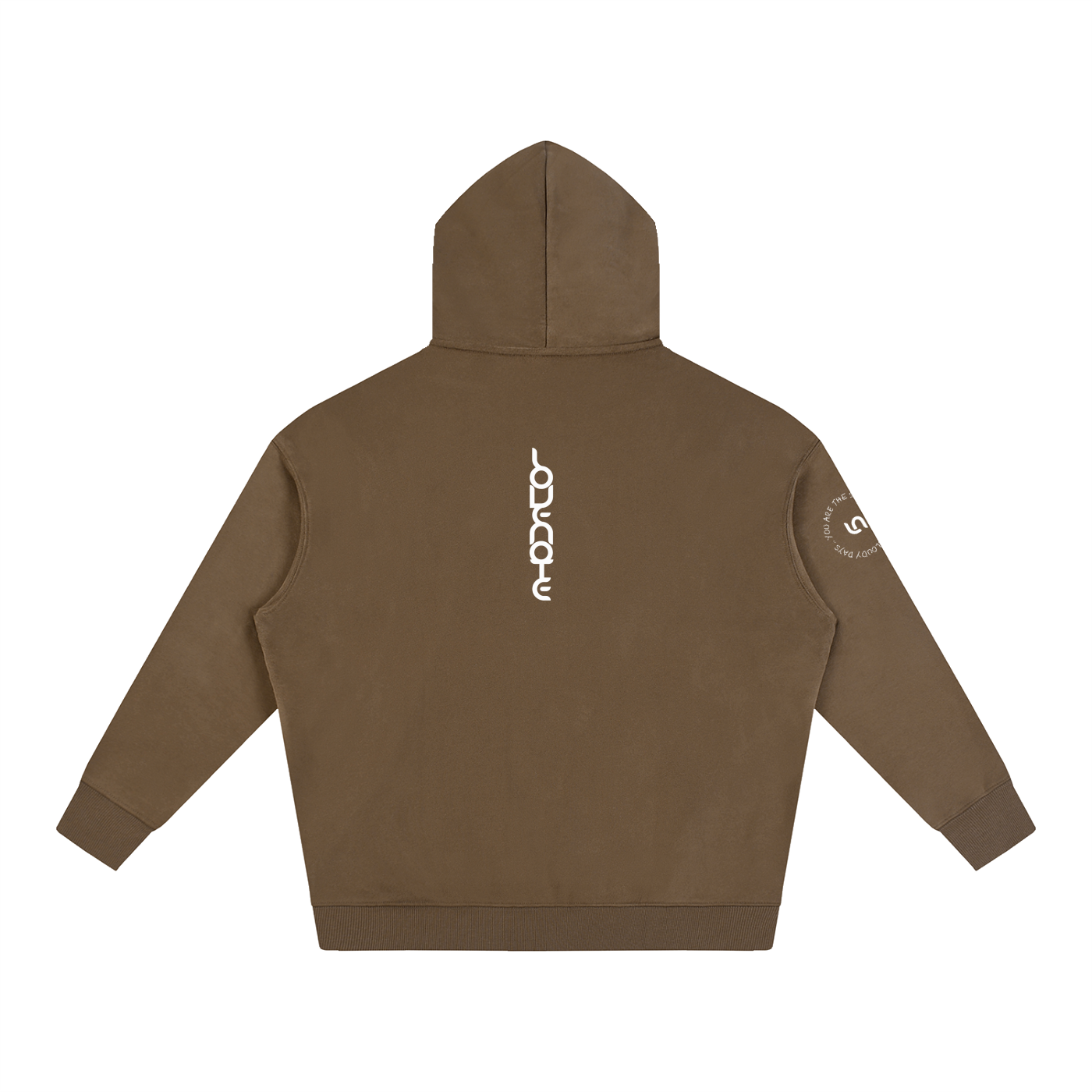 You are the sunshine in my cloudy days Oversize Fleeced Hoodie