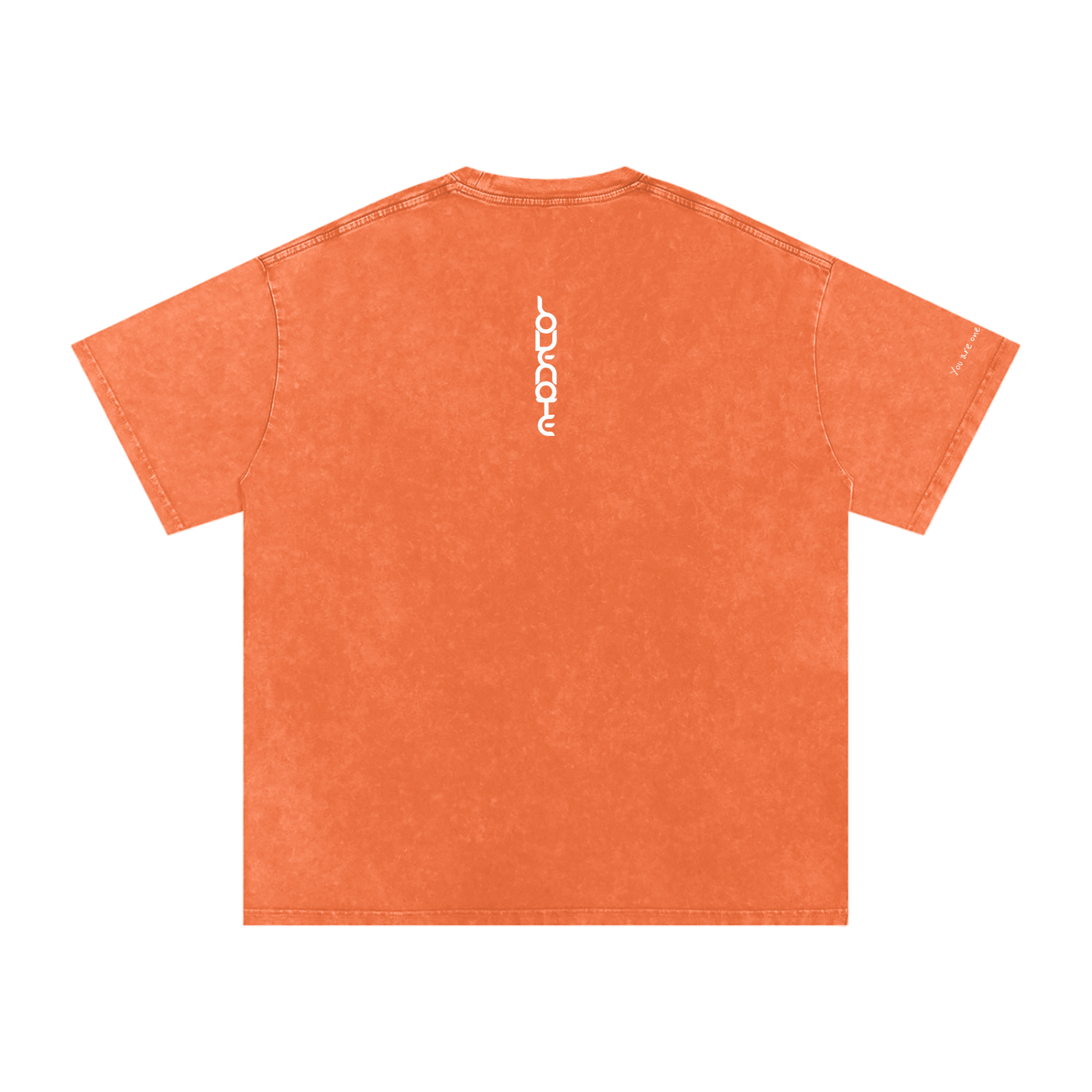 Smaller Notes - You are one in a million - Snow Washed Oversized Cotton T-Shirt