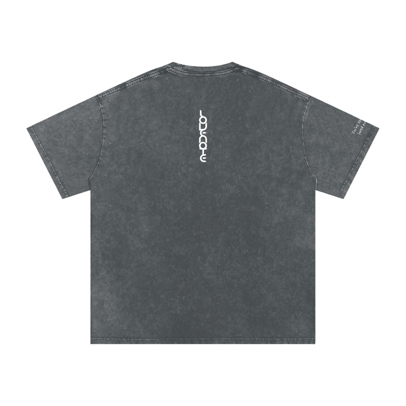 Smaller Notes - You're special and loved every day - Snow Washed Oversized Cotton T-Shirt