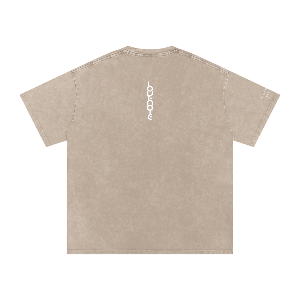 Smaller Notes - You are the sister I got to choose - Snow Washed Oversized Cotton T-Shirt