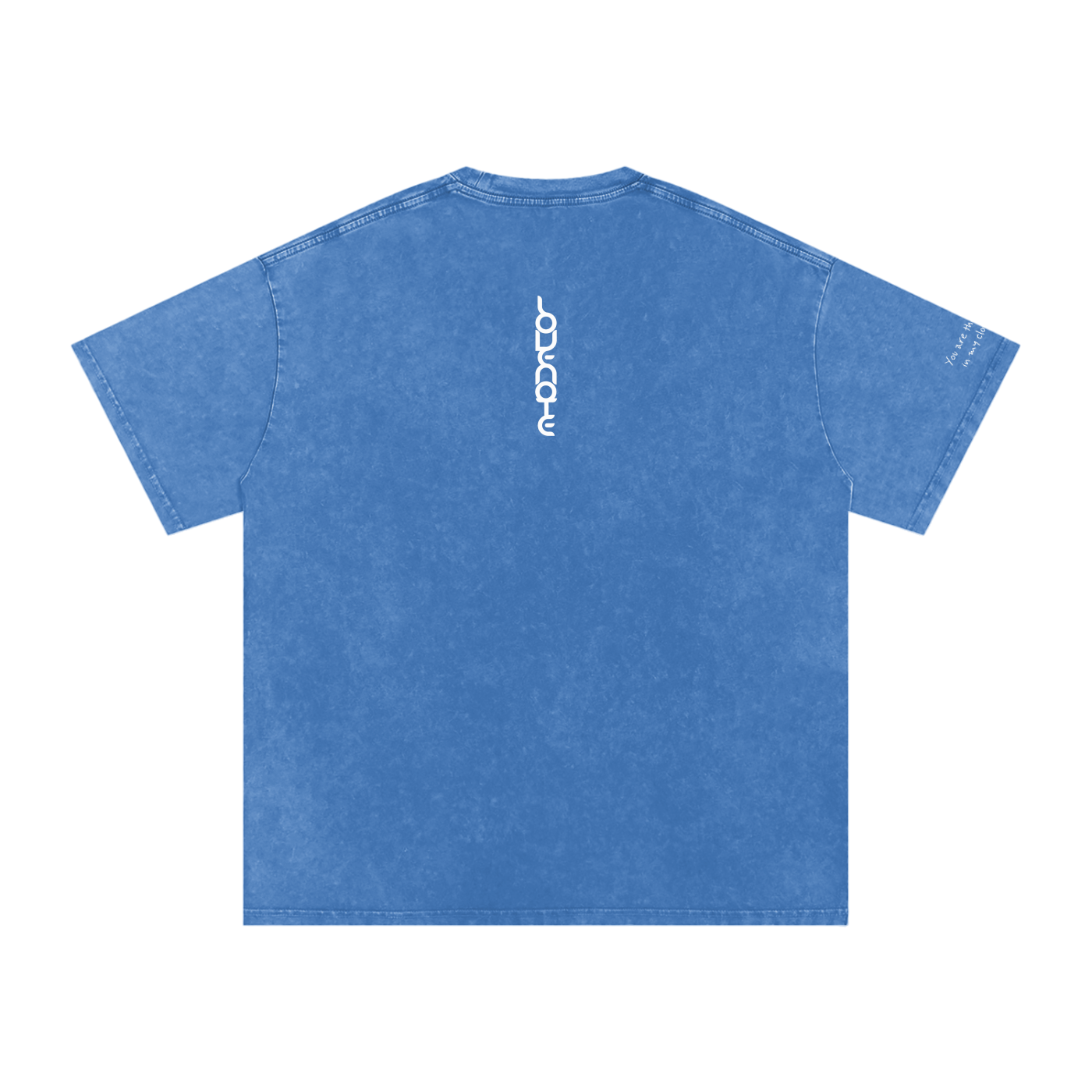 Smaller Notes - You are the sunshine in my cloudy days - Snow Washed Oversized Cotton T-Shirt