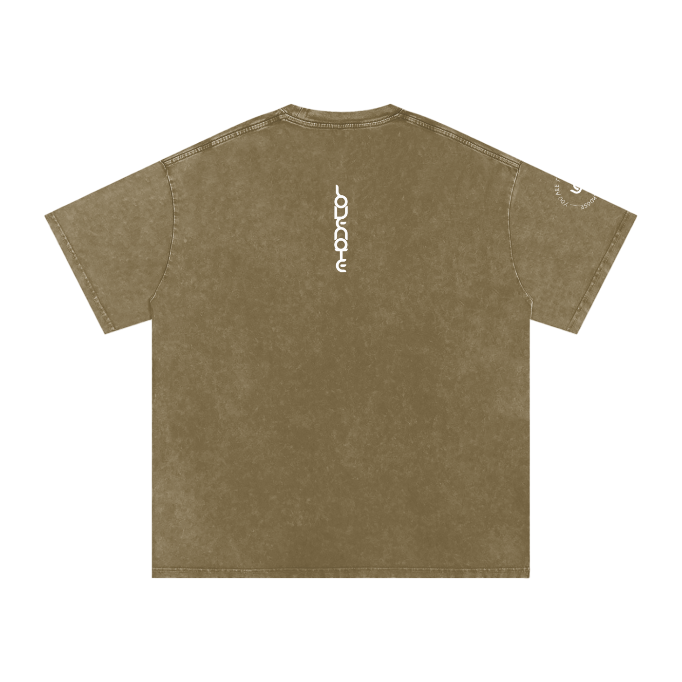 You are the sister I got to choose - Snow Washed Oversized Cotton T-Shirt