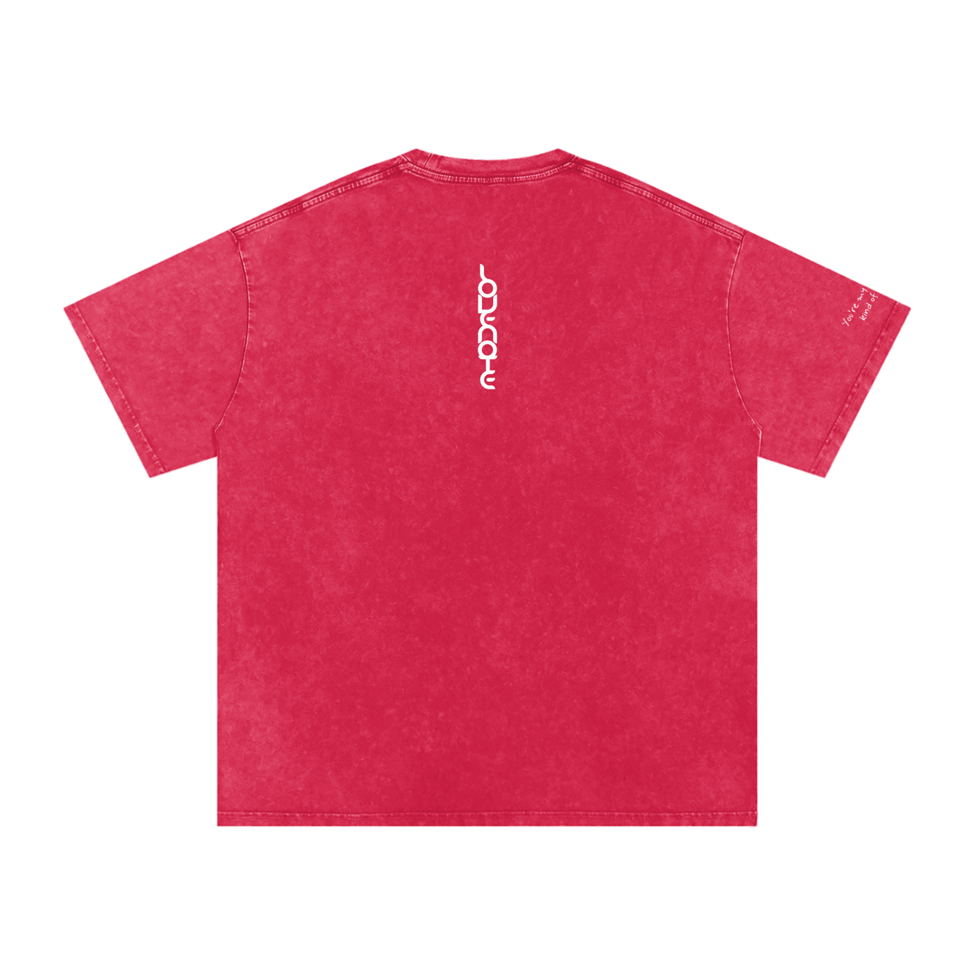 Smaller Notes - You're my favourite kind of trouble - Snow Washed Oversized Cotton T-Shirt