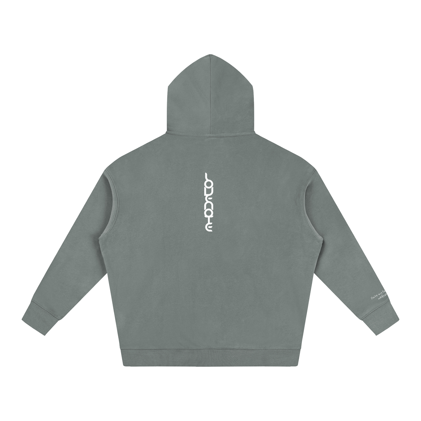 Smaller Notes - You're my favourite notification -  Oversize Fleeced Hoodie HT