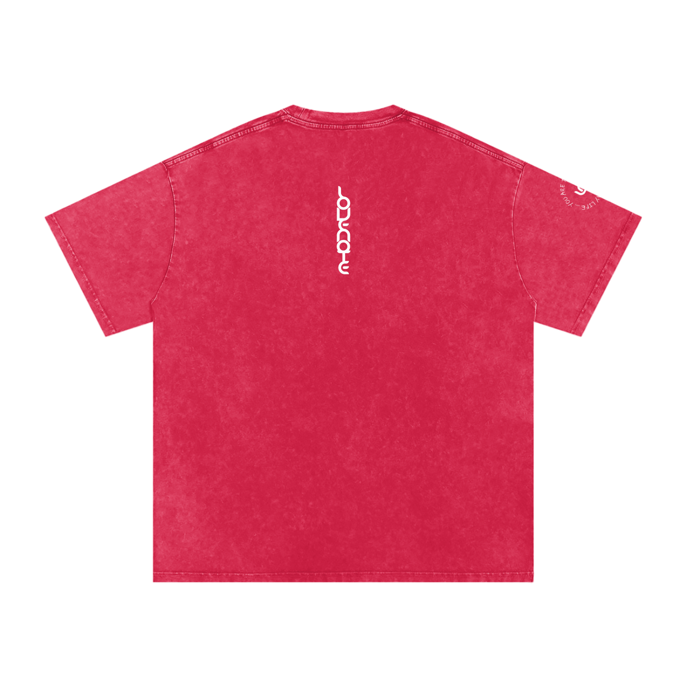 You are the highlight of my life - Snow Washed Oversized Cotton T-Shirt