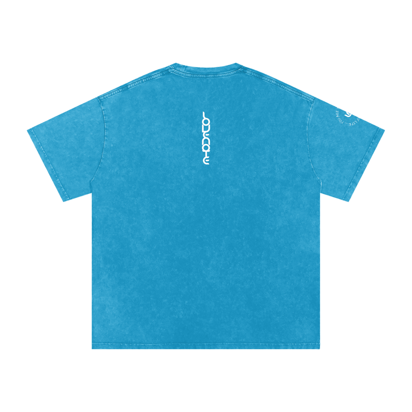 You are the highlight of my life - Snow Washed Oversized Cotton T-Shirt