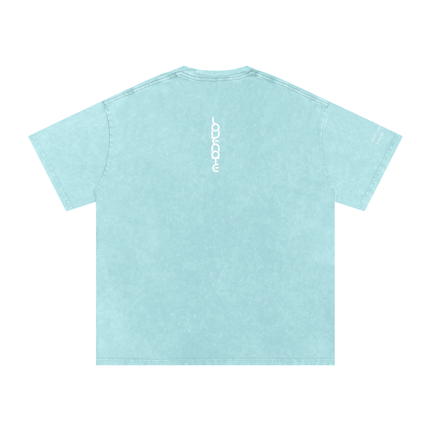 Smaller Notes - Best friend vibes forever - Snow Washed Oversized Cotton T-Shirt