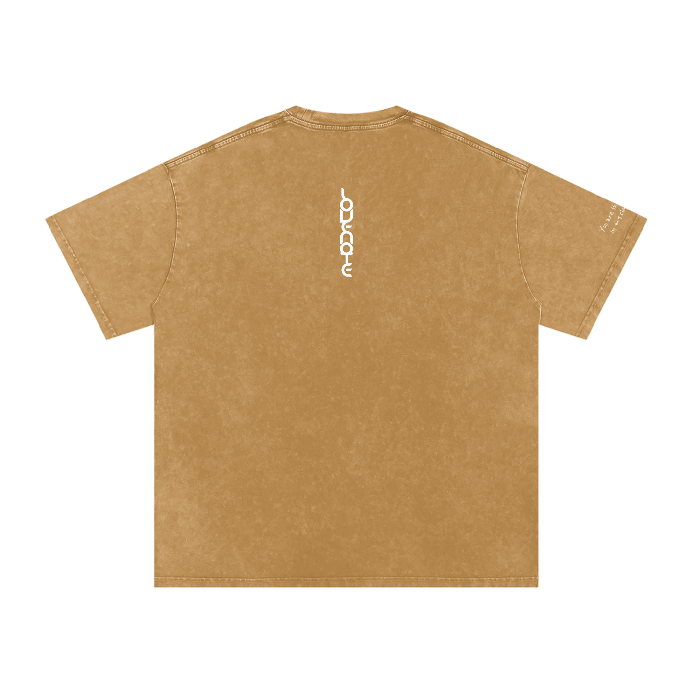 Smaller Notes - You are the sunshine in my cloudy days - Snow Washed Oversized Cotton T-Shirt