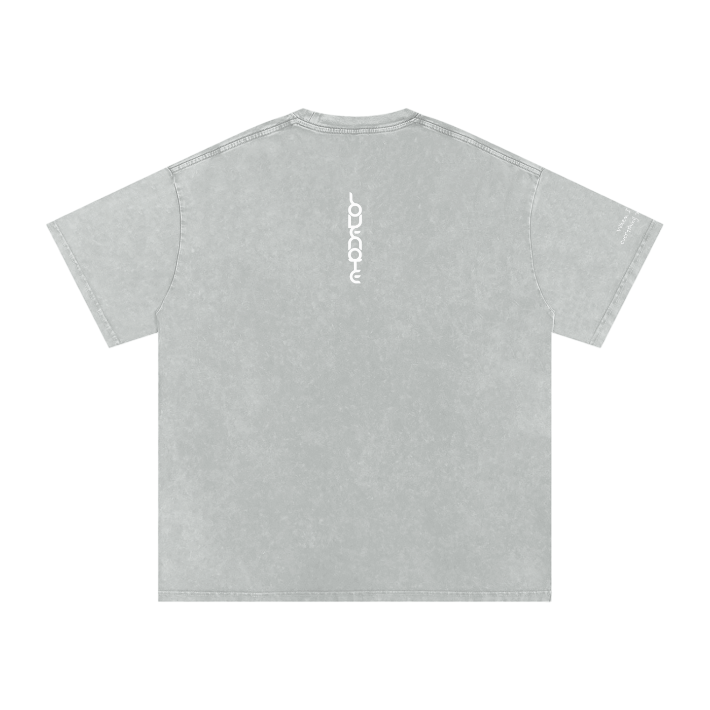 Smaller Notes - When I met you, everything made sense - Snow Washed Oversized Cotton T-Shirt