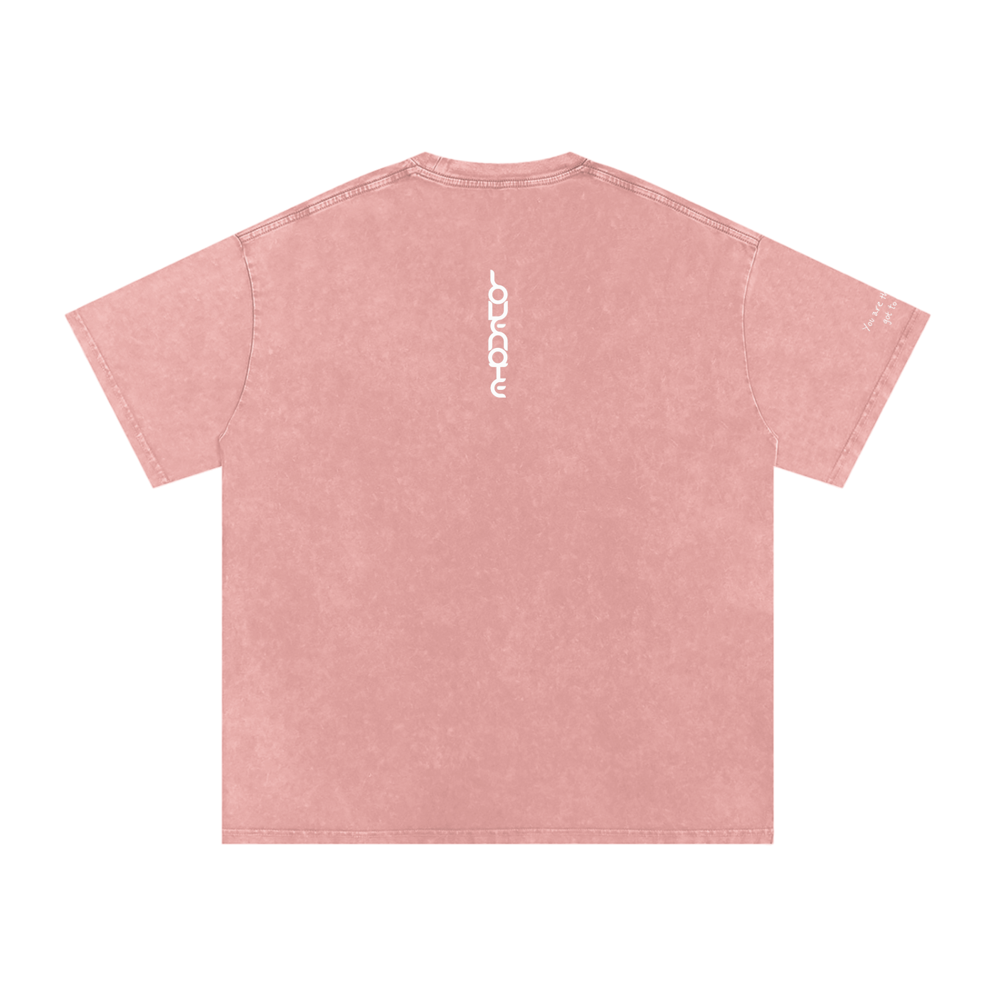 Smaller Notes - You are the sister I got to choose - Snow Washed Oversized Cotton T-Shirt